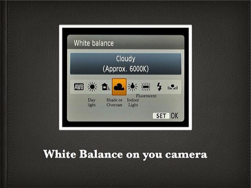 How to White Balance.006.jpg How to White Balance.006.jpg